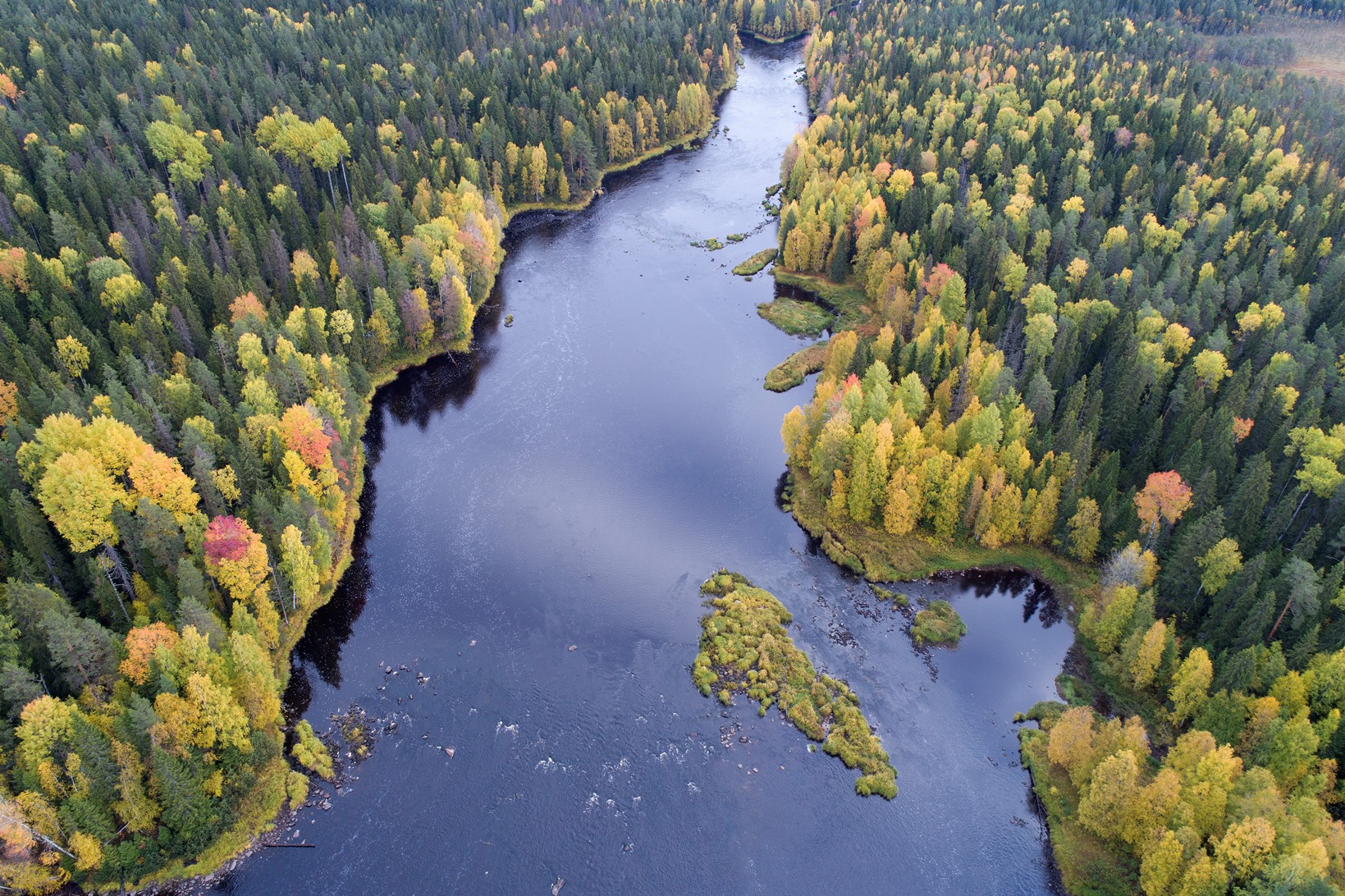 Водлозерский парк посетил известный фотограф-натуралист Игорь Шпиленок