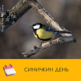 Синичкин день: встречаем зимних гостей