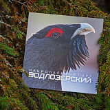 Две обложки, одна история