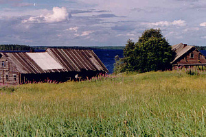 Колгостров