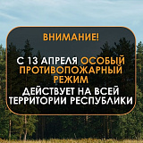В Карелии ведён особый противопожарный режим