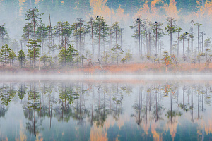 Утро на озере Пизанец. Фото Игорь Подгорный