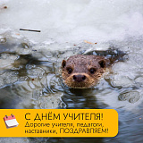 С Днём учителя! Дорогие учителя, педагоги, наставники!