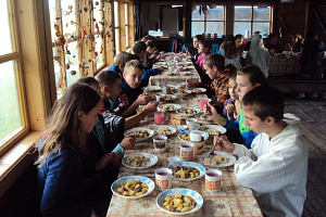 Калипсо 2015