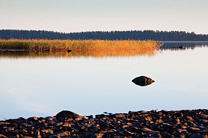 Остров Марь. Водлозеро.