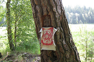 Карсикко