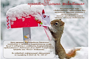Письма животным
