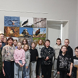 Редкие фотографии гнёзд и птенцов представлены на выставке в Пудожском музее